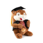 Pokkel Plush Toy Graduate