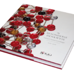 Science Faculty Book: 'n Besonderse Denkwyse - Afrikaans