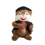 Pokkel Plush Toy Graduate - Image 2